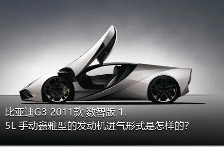 比亚迪G3 2011款 数智版 1.5L 手动鑫雅型的发动机进气形式是怎样的？