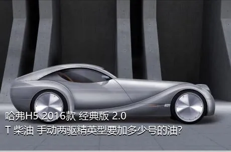 哈弗H5 2016款 经典版 2.0T 柴油 手动两驱精英型要加多少号的油？