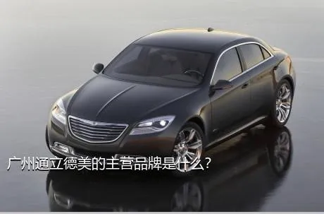 广州通立德美的主营品牌是什么？