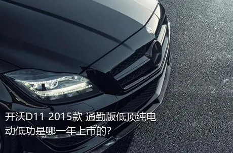 开沃D11 2015款 通勤版低顶纯电动低功是哪一年上市的？