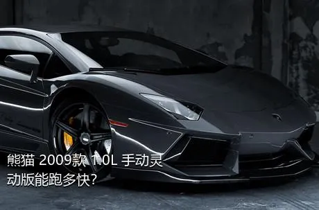 熊猫 2009款 1.0L 手动灵动版能跑多快？