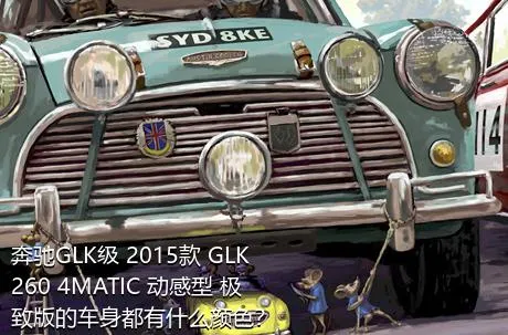 奔驰GLK级 2015款 GLK 260 4MATIC 动感型 极致版的车身都有什么颜色？