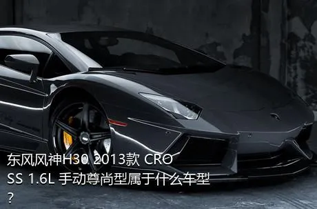 东风风神H30 2013款 CROSS 1.6L 手动尊尚型属于什么车型？
