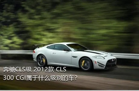 奔驰CLS级 2012款 CLS 300 CGI属于什么级别的车？