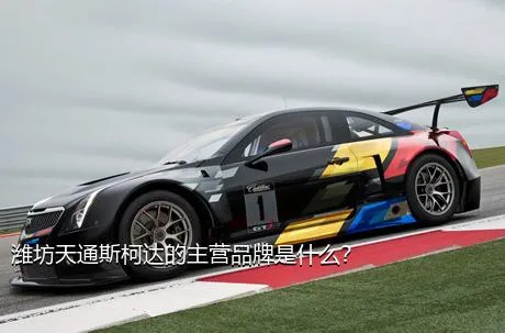 潍坊天通斯柯达的主营品牌是什么？
