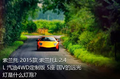 索兰托 2015款 索兰托L 2.4L 汽油4WD定制版 5座 国V的远光灯是什么灯泡？