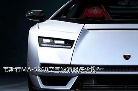 韦斯特MA-5260空气滤清器多少钱？