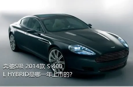 奔驰S级 2014款 S 400 L HYBRID是哪一年上市的？