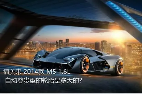 福美来 2014款 M5 1.6L 自动尊贵型的轮胎是多大的？