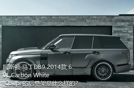 阿斯顿·马丁DB9 2014款 6.0L Carbon White Coupe的后悬架是什么样的？