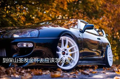 到保山圣发金杯去应该怎么走？