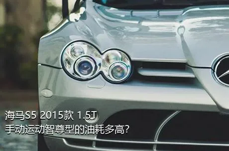 海马S5 2015款 1.5T 手动运动智尊型的油耗多高？