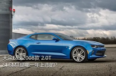 大众Eos 2008款 2.0TSI 6MT是哪一年上市的？