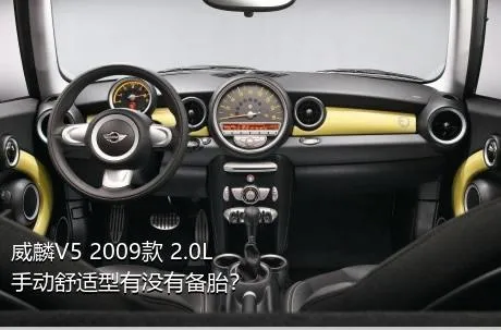 威麟V5 2009款 2.0L 手动舒适型有没有备胎？