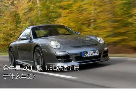 金牛星 2011款 1.3L舒适型属于什么车型？