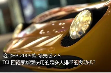 哈弗H3 2009款 领先版 2.5TCI 四驱豪华型使用的是多大排量的发动机？