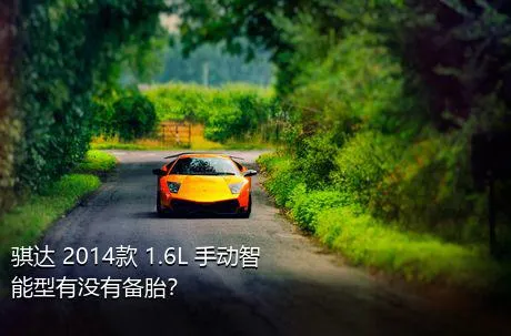 骐达 2014款 1.6L 手动智能型有没有备胎？