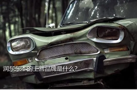 润东东本的主营品牌是什么？