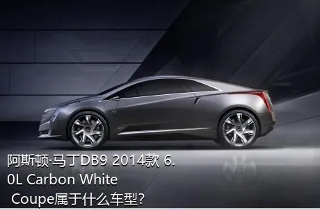 阿斯顿·马丁DB9 2014款 6.0L Carbon White Coupe属于什么车型？