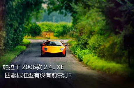 帕拉丁 2006款 2.4L XE 四驱标准型有没有前雾灯？