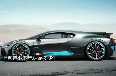 上海绅亚的电话是多少？