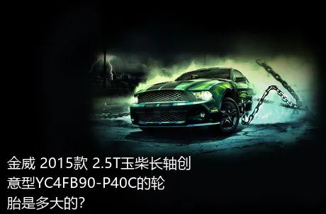 金威 2015款 2.5T玉柴长轴创意型YC4FB90-P40C的轮胎是多大的？