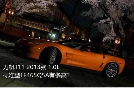 力帆T11 2013款 1.0L标准型LF465Q5A有多高？