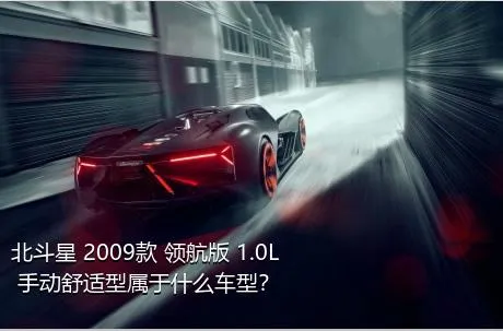 北斗星 2009款 领航版 1.0L 手动舒适型属于什么车型？