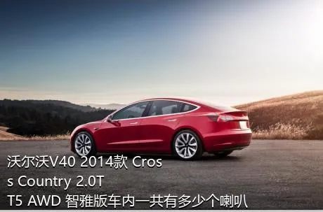 沃尔沃V40 2014款 Cross Country 2.0T T5 AWD 智雅版车内一共有多少个喇叭？