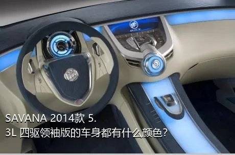 SAVANA 2014款 5.3L 四驱领袖版的车身都有什么颜色？