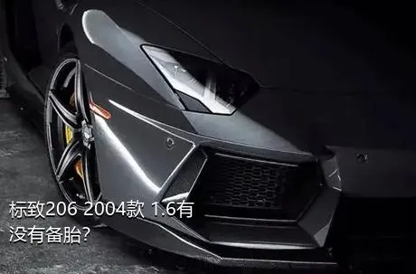 标致206 2004款 1.6有没有备胎？