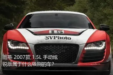 雨燕 2007款 1.5L 手动炫锐版属于什么级别的车？