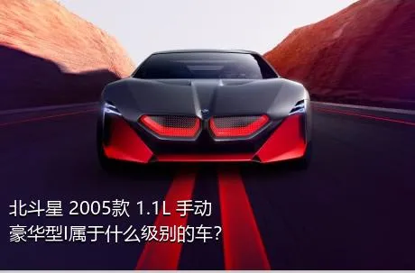 北斗星 2005款 1.1L 手动豪华型I属于什么级别的车？