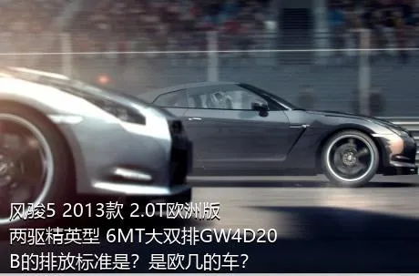 风骏5 2013款 2.0T欧洲版 两驱精英型 6MT大双排GW4D20B的排放标准是？是欧几的车？