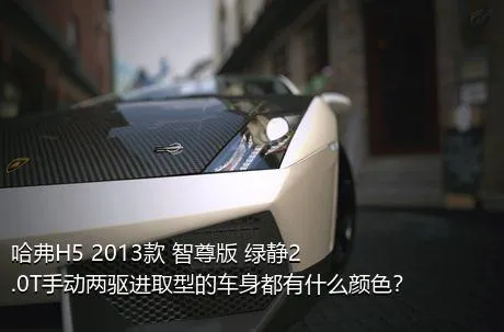 哈弗H5 2013款 智尊版 绿静2.0T手动两驱进取型的车身都有什么颜色？
