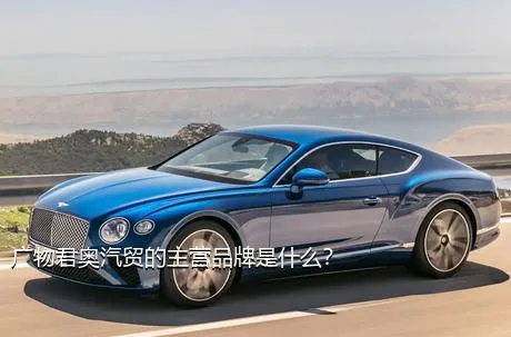 广物君奥汽贸的主营品牌是什么？