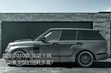 路宝 2010款 灵动 1.0L 手动豪华型的油耗多高？