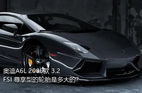 奥迪A6L 2006款 3.2 FSI 尊享型的轮胎是多大的？