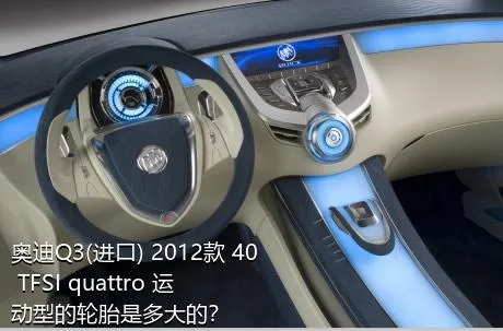 奥迪Q3(进口) 2012款 40 TFSI quattro 运动型的轮胎是多大的？