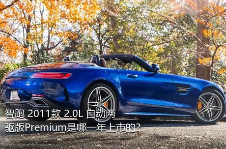 智跑 2011款 2.0L 自动两驱版Premium是哪一年上市的？