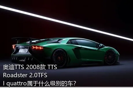 奥迪TTS 2008款 TTS Roadster 2.0TFSI quattro属于什么级别的车？