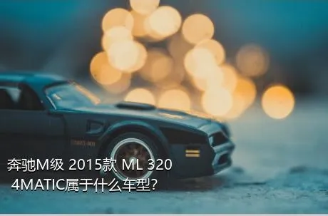 奔驰M级 2015款 ML 320 4MATIC属于什么车型？