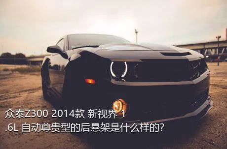 众泰Z300 2014款 新视界 1.6L 自动尊贵型的后悬架是什么样的？