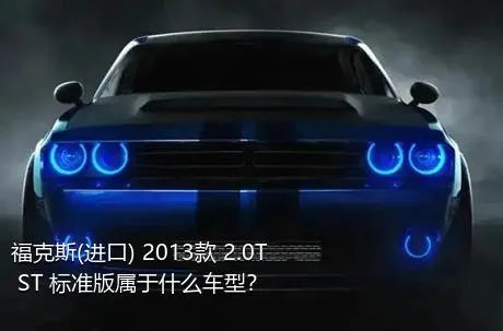 福克斯(进口) 2013款 2.0T ST 标准版属于什么车型？