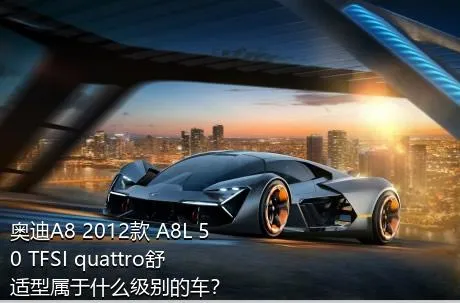 奥迪A8 2012款 A8L 50 TFSI quattro舒适型属于什么级别的车？