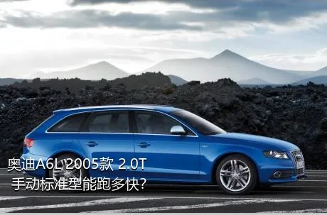 奥迪A6L 2005款 2.0T 手动标准型能跑多快？