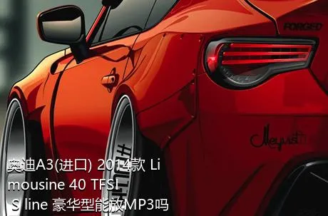 奥迪A3(进口) 2014款 Limousine 40 TFSI S line 豪华型能放MP3吗？