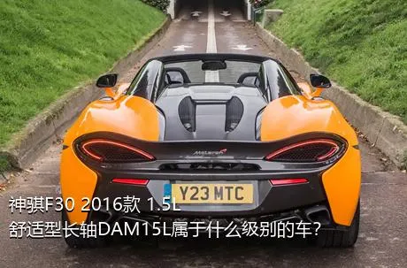 神骐F30 2016款 1.5L舒适型长轴DAM15L属于什么级别的车？