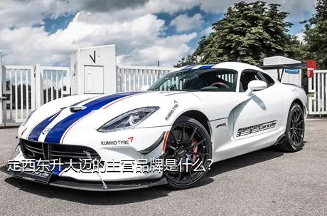 定西东升大迈的主营品牌是什么？