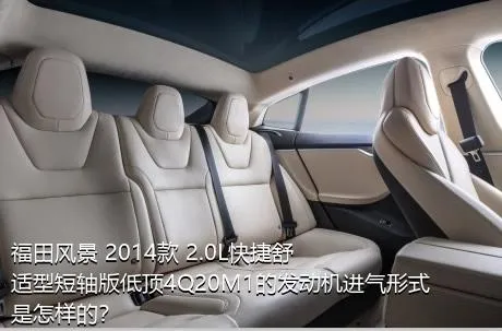 福田风景 2014款 2.0L快捷舒适型短轴版低顶4Q20M1的发动机进气形式是怎样的？